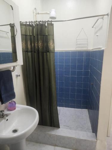 a bathroom with a shower curtain and a sink at Ideal Executive Suites in Georgetown