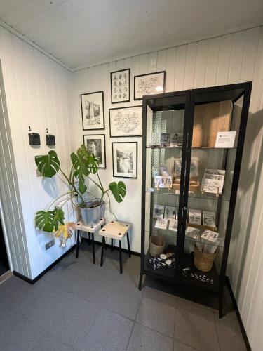 a room with a shelf with a potted plant at Amma Jóna rooms in Ásólfsskáli