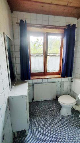 a bathroom with a toilet and two windows at FerienFleckl in Warmensteinach