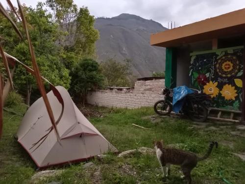Nespecifikovaný výhled na hory nebo výhled na hory při pohledu z penzionu – hostince