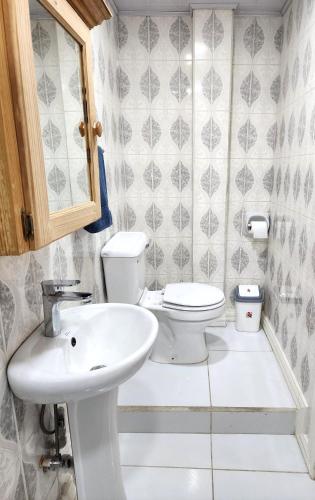a bathroom with a toilet and a sink at Ideal Executive Suites in Georgetown