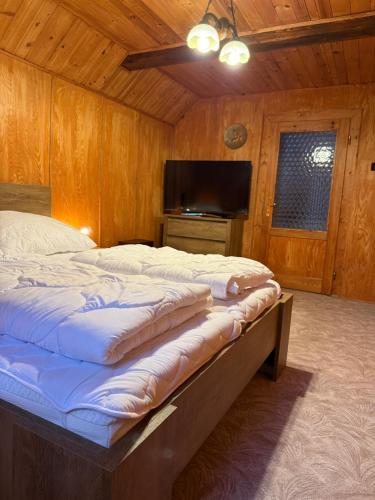 a large bed in a room with a television at Chata Rychnovanka in Zdobnice
