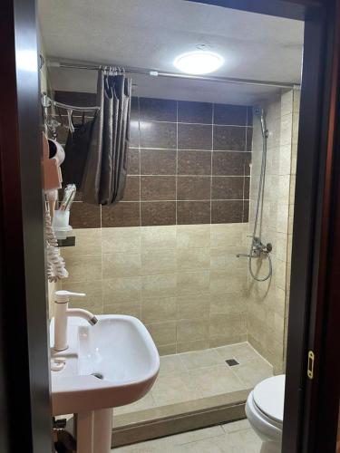 a bathroom with a shower and a sink and a toilet at CaffaSoffia in Baku