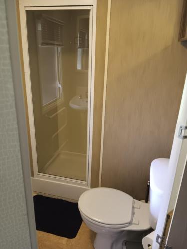 a bathroom with a white toilet and a shower at Hendre Glamping- Caravan Bryngwyn in Boncath