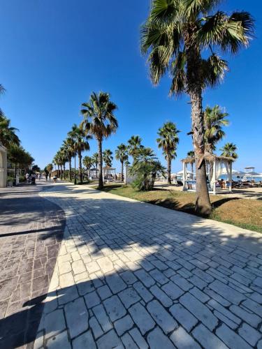 Asel apartment golem