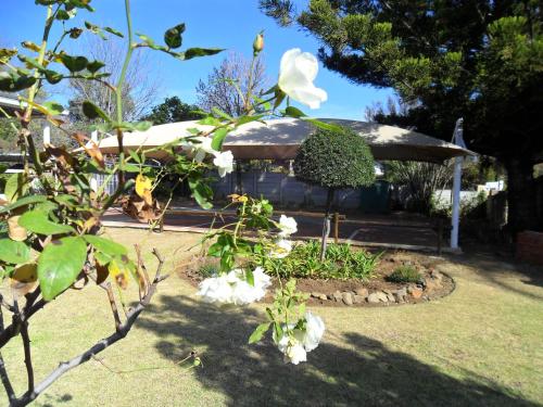 Jardín al aire libre en Convent Hill Lodge