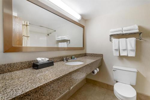 a bathroom with a sink and a toilet and a mirror at Best Western Royal Plaza Hotel and Trade Center in Marlborough