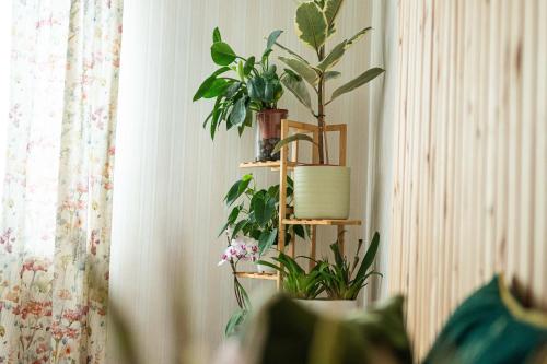 a shelf with plants on it next to a wall at Garden Room Near Heathrow in Feltham