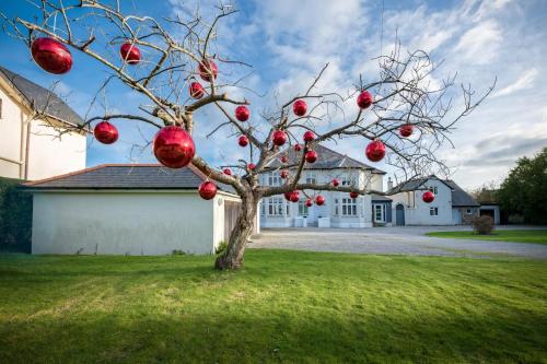 a tree with red christmas balls on it in a yard at 1 Coed y Llyn in Abersoch