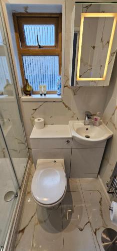 a bathroom with a toilet and a sink and a window at Ground floor outdoor ease in Cardiff