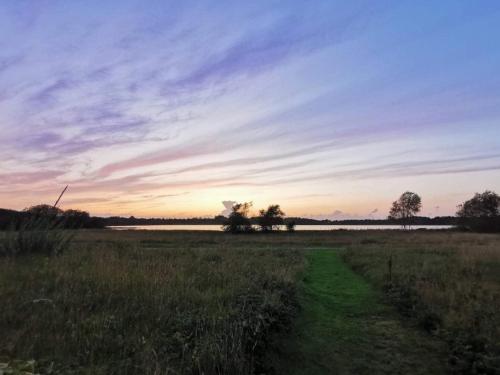 a dirt road in a field with a sunset at 6 person holiday home in Ansager-By Traum in Ansager