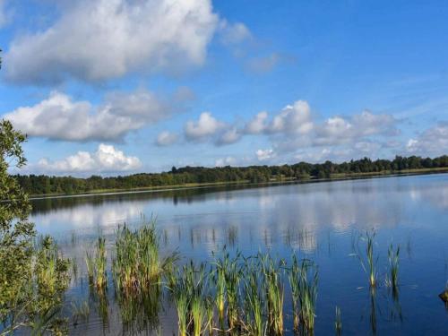 a large lake with trees and clouds in the sky at 6 person holiday home in Ansager-By Traum in Ansager