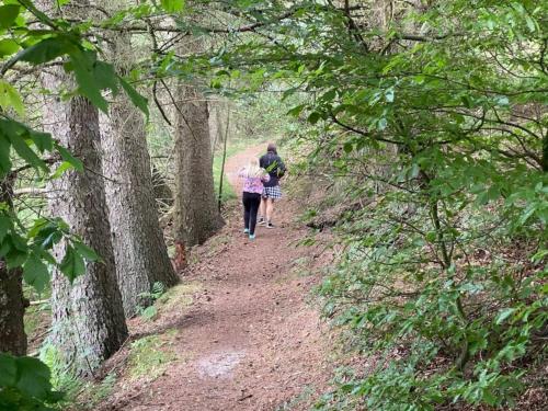 a couple of people walking down a dirt trail at 4 person holiday home in Hovborg-By Traum in Hovborg