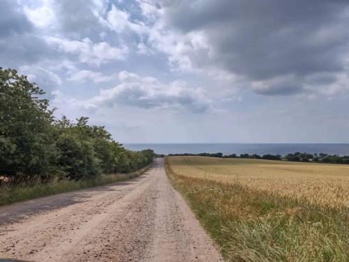 a dirt road in the middle of a field at 4 person holiday home in Store Fuglede-By Traum in Store Fuglede