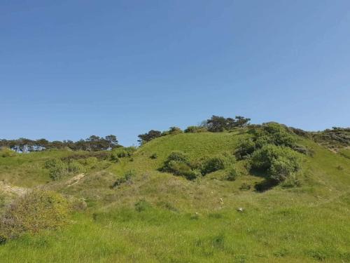 a green hill with trees on top of it at 6 person holiday home in Nykøbing Sj-By Traum in Klint