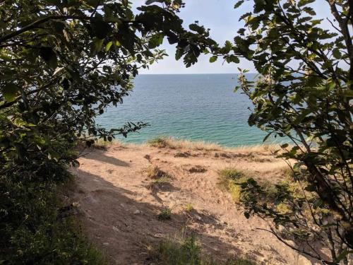 a view of the ocean through the trees at 6 person holiday home in Nykøbing Sj-By Traum in Klint