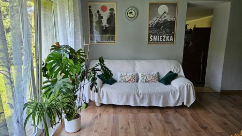 a living room with a white couch with pillows at Noclegi u Przewodników - Zwiedzaczek in Lubawka