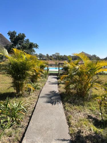 Φωτογραφία από το άλμπουμ του Mokolwane RiverFront Maun σε Μαούν