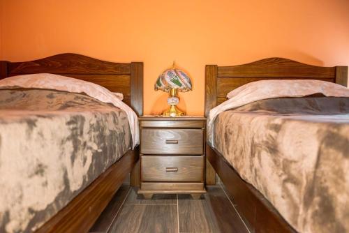a bedroom with two beds and a night stand with a lamp at Etno kuća Biblioteka in Smederevo
