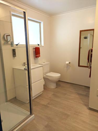 a bathroom with a toilet and a sink and a mirror at The Peninsula Kaikoura in Kaikoura