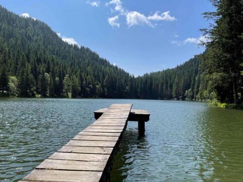 a wooden dock in the middle of a lake at Grebenzen Lodge Hirsch in Sankt Lambrecht