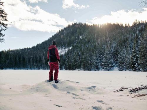 a man is standing on a snow covered field at Grebenzen Lodge Prinz in Sankt Lambrecht
