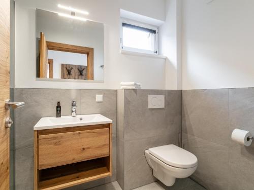 a bathroom with a toilet and a sink and a mirror at Grebenzen Lodge 35 in Sankt Lambrecht
