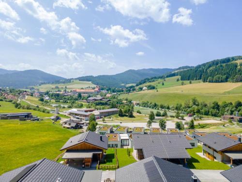 an aerial view of a small village in the mountains at Grebenzen Eiszeit Lodge in Sankt Lambrecht