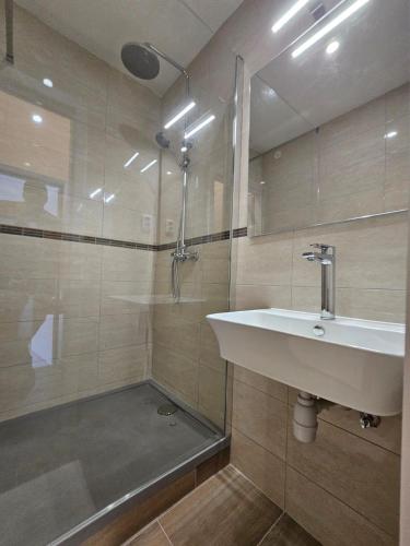 a bathroom with a sink and a shower at Apartments by the sea Savar, Dugi otok - 8079 in Brbinj