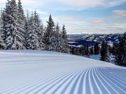 a snow covered slope with trees on a mountain at Grebenzen Eiszeit Lodge in Sankt Lambrecht
