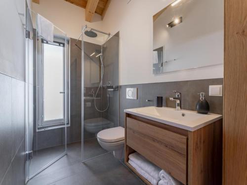 a bathroom with a sink and a toilet and a shower at Alpenchalet Lambert in Sankt Lambrecht