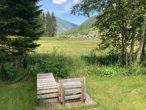 two wooden benches sitting in a field of grass at Ebersberger in Donnersbachwald