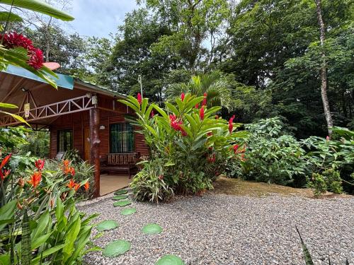 Taman di luar Cabin in the wood
