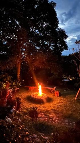 Zahrada ubytování La casa de Tikal