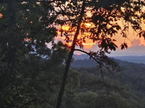 Smoky's View photo 24