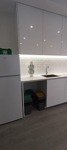 - une cuisine avec un évier et un comptoir avec deux poubelles dans l'établissement Skynest 59 Faro Airport Guest House, à l'aéroport de Faro