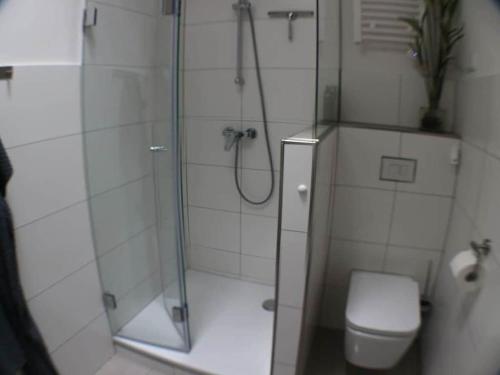 バート・ラウターベルクにあるHoliday apartment dream in paradiseのシャワーとトイレ付きの白いバスルーム