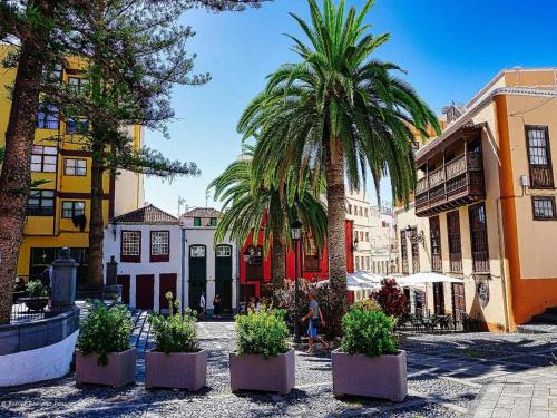 Apartment in Santa Cruz near Beaches