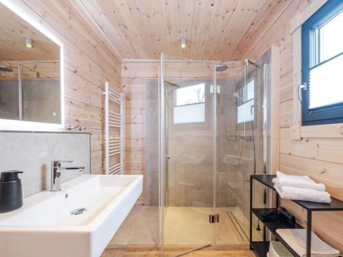 a bathroom with a shower and a white sink at Mountain Forest Chalet Comfort 4 in Schierke