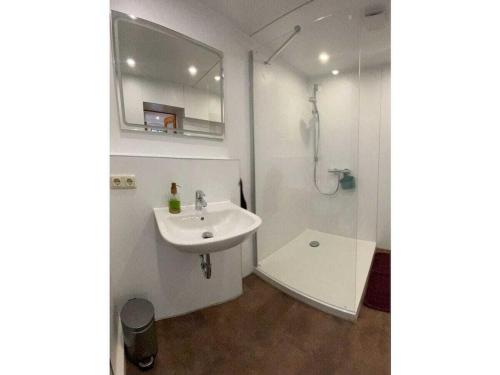 Ένα μπάνιο στο Holiday apartment at Fichtepark