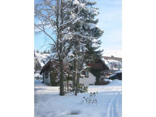 a tree covered in snow in front of a house at Holiday apartment with 2 bedrooms in Hinterzarten