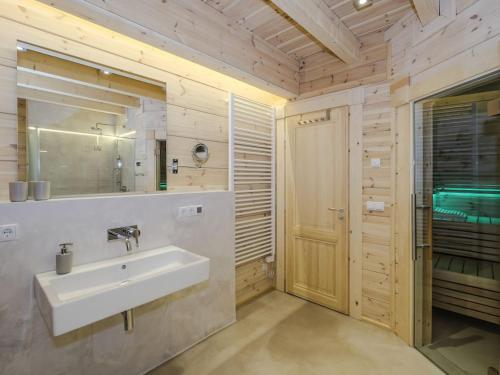 un baño con lavabo y espejo en Bergwaldlodge Blickfang, en Schierke