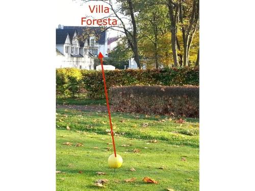 a ball in the grass with a red stick at Holiday home with 2 bedrooms in Göhren-Lebbin