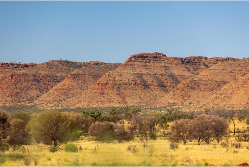 a view of the desert with mountains in the background at Discovery Resorts - Kings Canyon in Kings Canyon