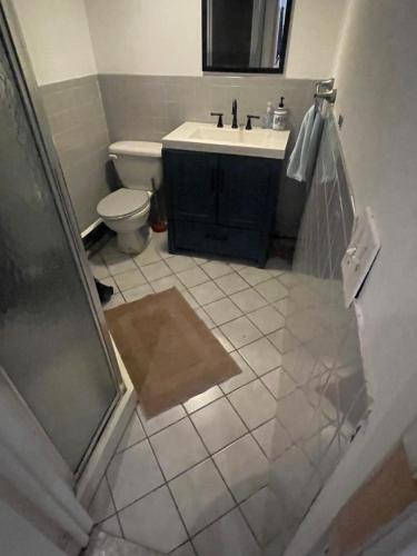 a bathroom with a shower and a sink and a toilet at Hollow high hill Ranch retreat in Dix Hills