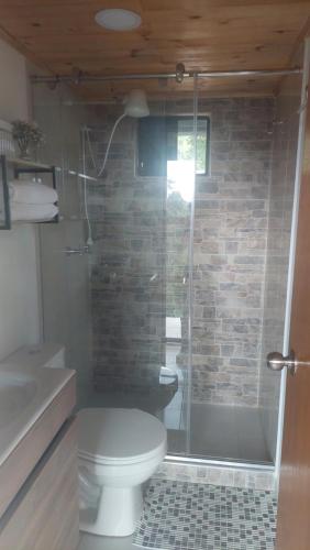 a bathroom with a shower with a toilet and a sink at Alojamiento natural rural LOS NOGALES in San Francisco