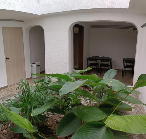 Fotografie z fotogalerie ubytování Nuevo Almendros v destinaci Medellín