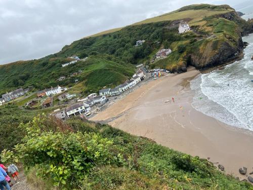 an aerial view of a beach with houses at Pengwern in Llangranog