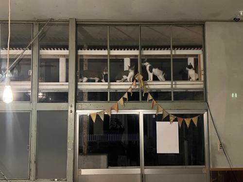 a group of cows sitting on top of a building at 'Yamaneko Hotel 'Saunas, Serenity & Feline Friends in Miyoshi