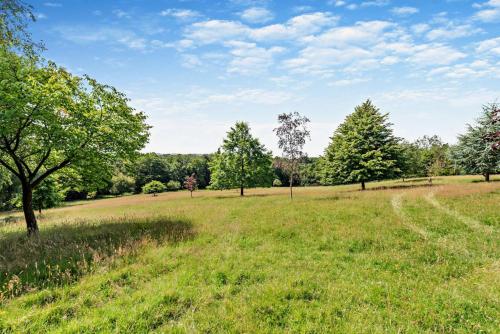 a field of grass with trees in the background at Denswood House in Brightling